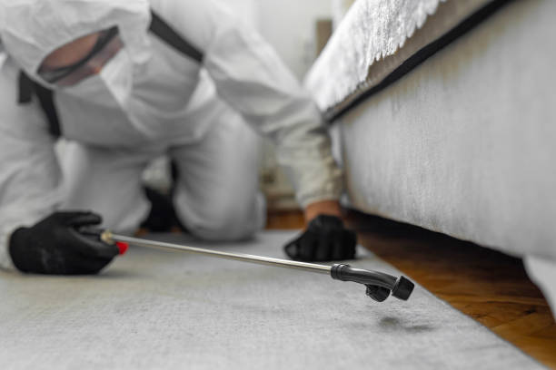 Professional Termite Control technician working in Kalkaska, MI