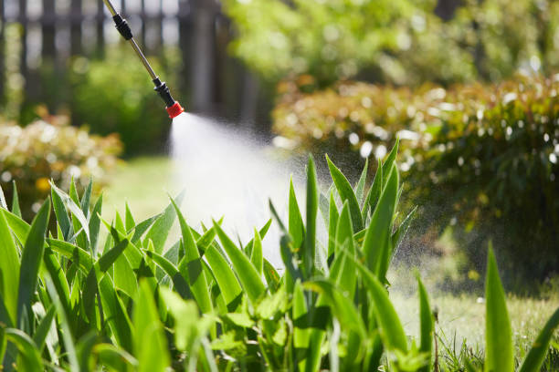 24/7 Emergency Termite Control experts in Kalkaska, MI